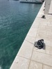 resIMG_20220531_142449_IMG_8293_HEIC.jpg